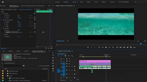 Does Premiere Pro Have Sound Effects? An Examination of Its Audio Capabilities