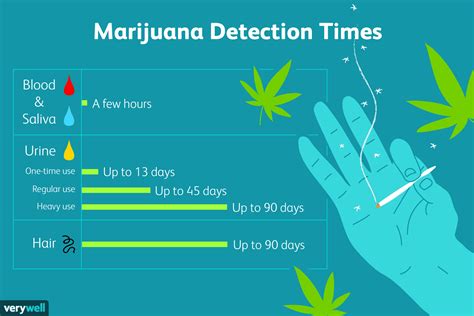 Will One Hit of Weed Show Up on a Hair Test? A Detailed Analysis